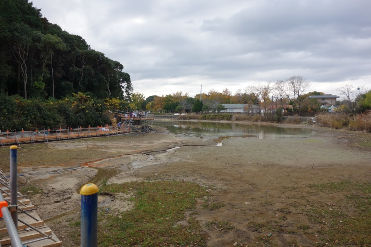 f:id:massneko:20201209160039p:plain