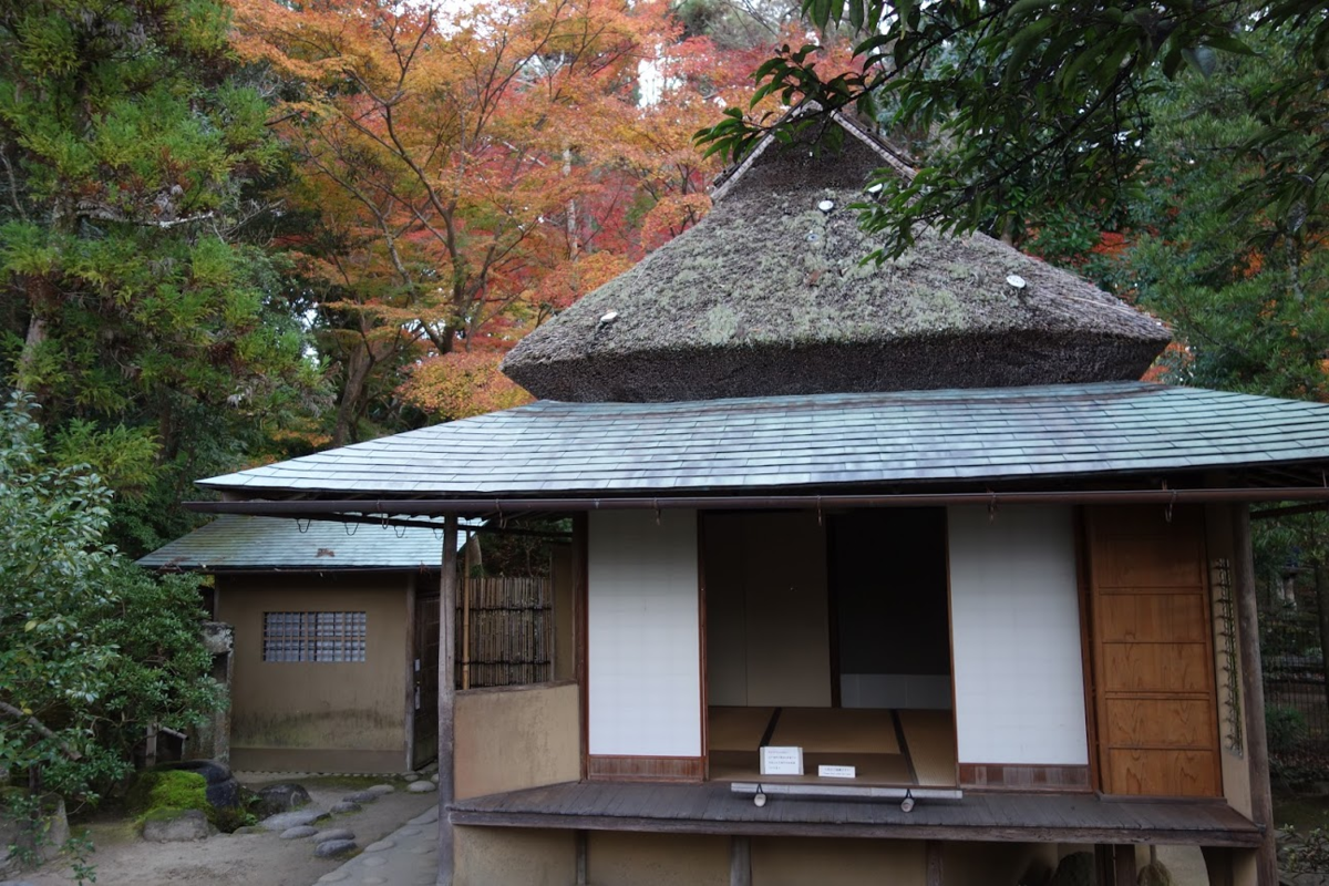 f:id:massneko:20201209162933p:plain