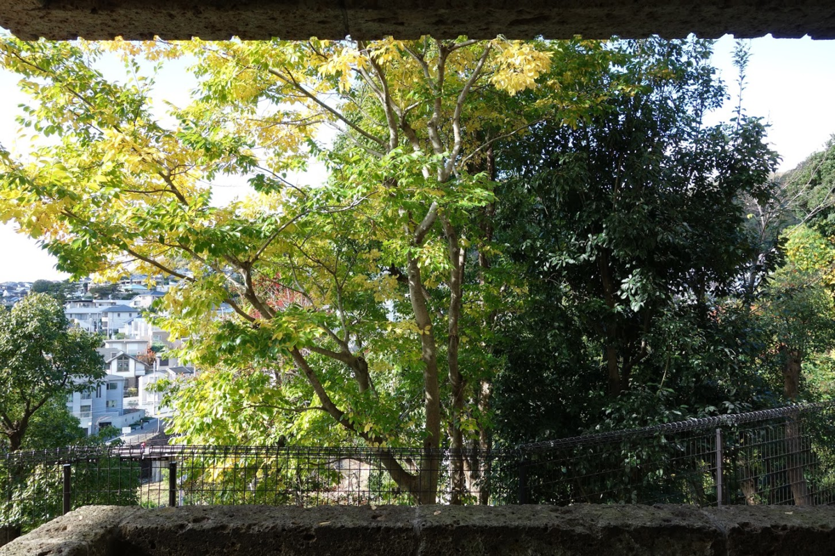 f:id:massneko:20201209170029p:plain