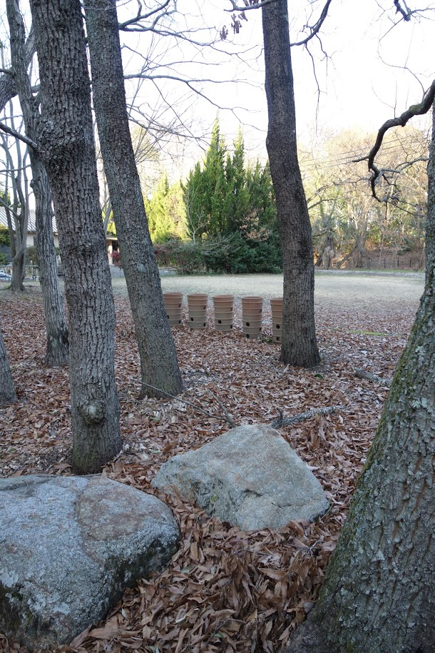f:id:massneko:20201211223326p:plain