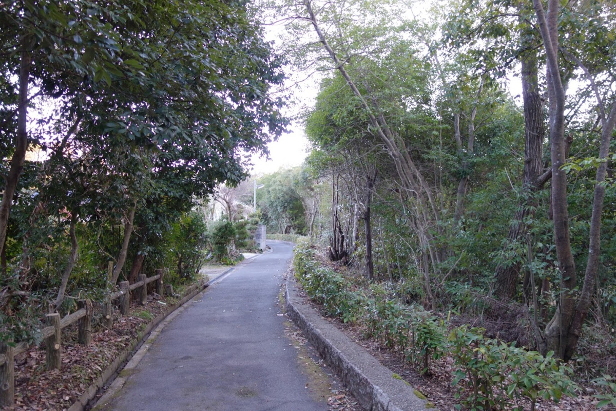 f:id:massneko:20201211223518p:plain
