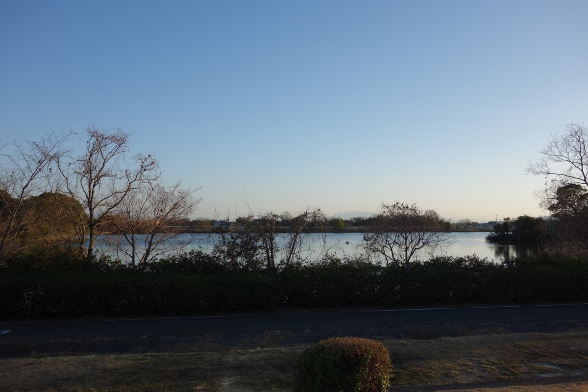 f:id:massneko:20201211223925p:plain