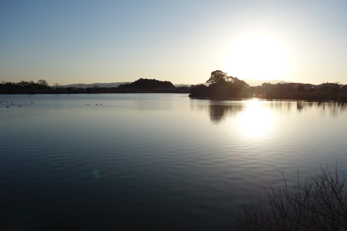 f:id:massneko:20201211224005p:plain