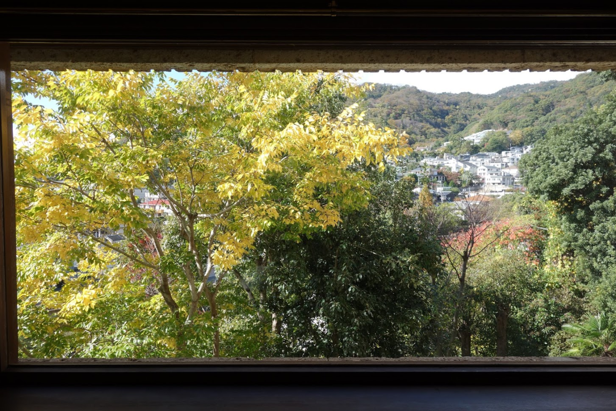 f:id:massneko:20201214155153p:plain