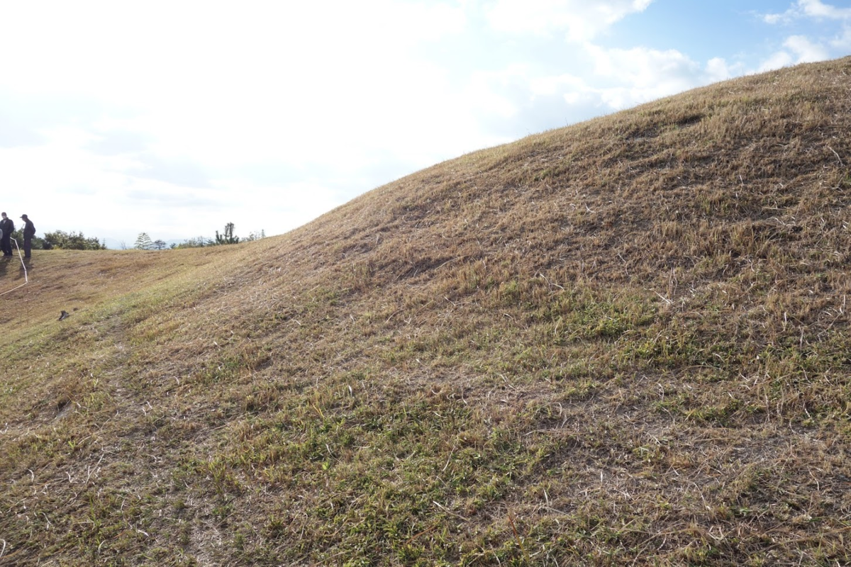 f:id:massneko:20201214170238p:plain