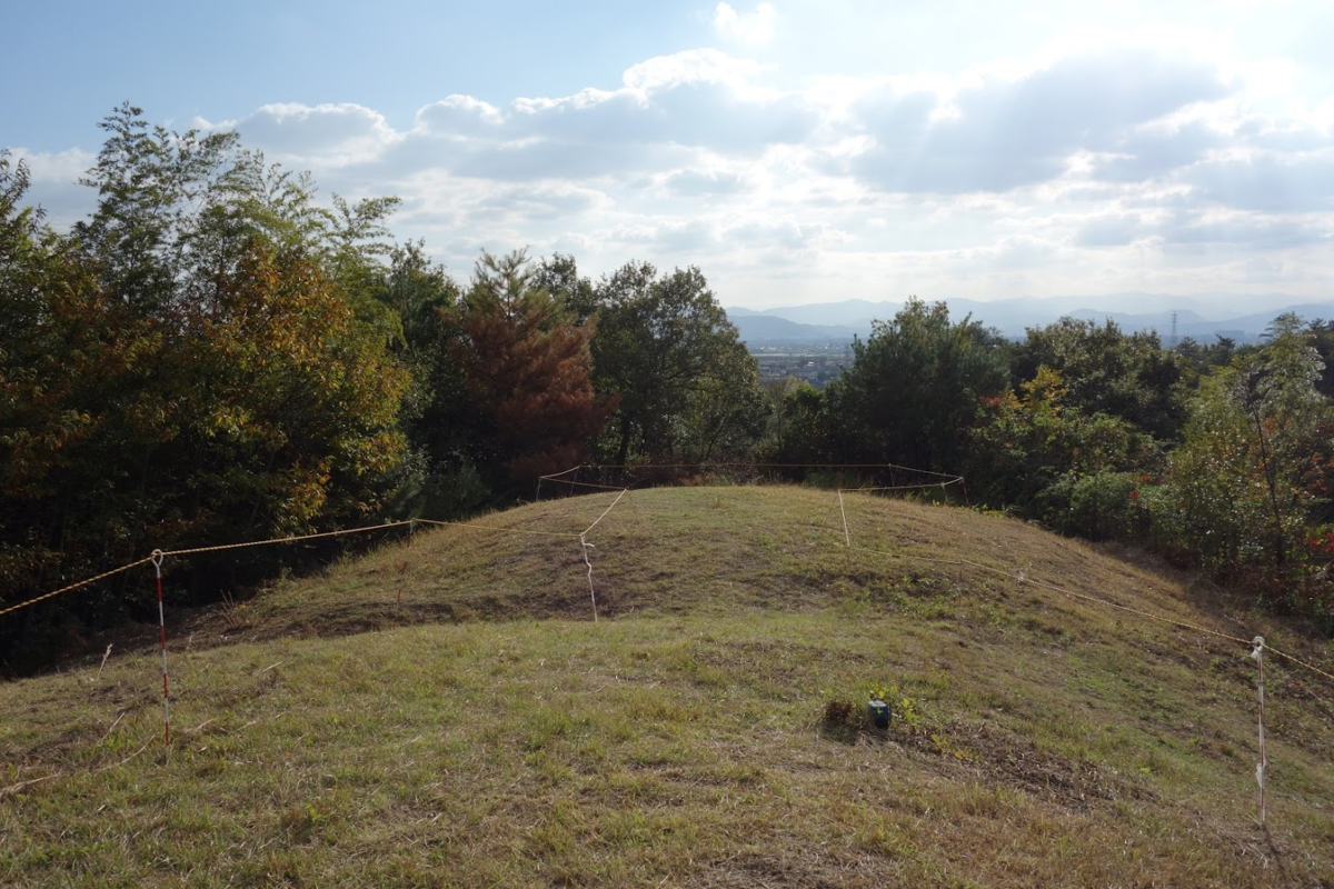 f:id:massneko:20201214170253p:plain