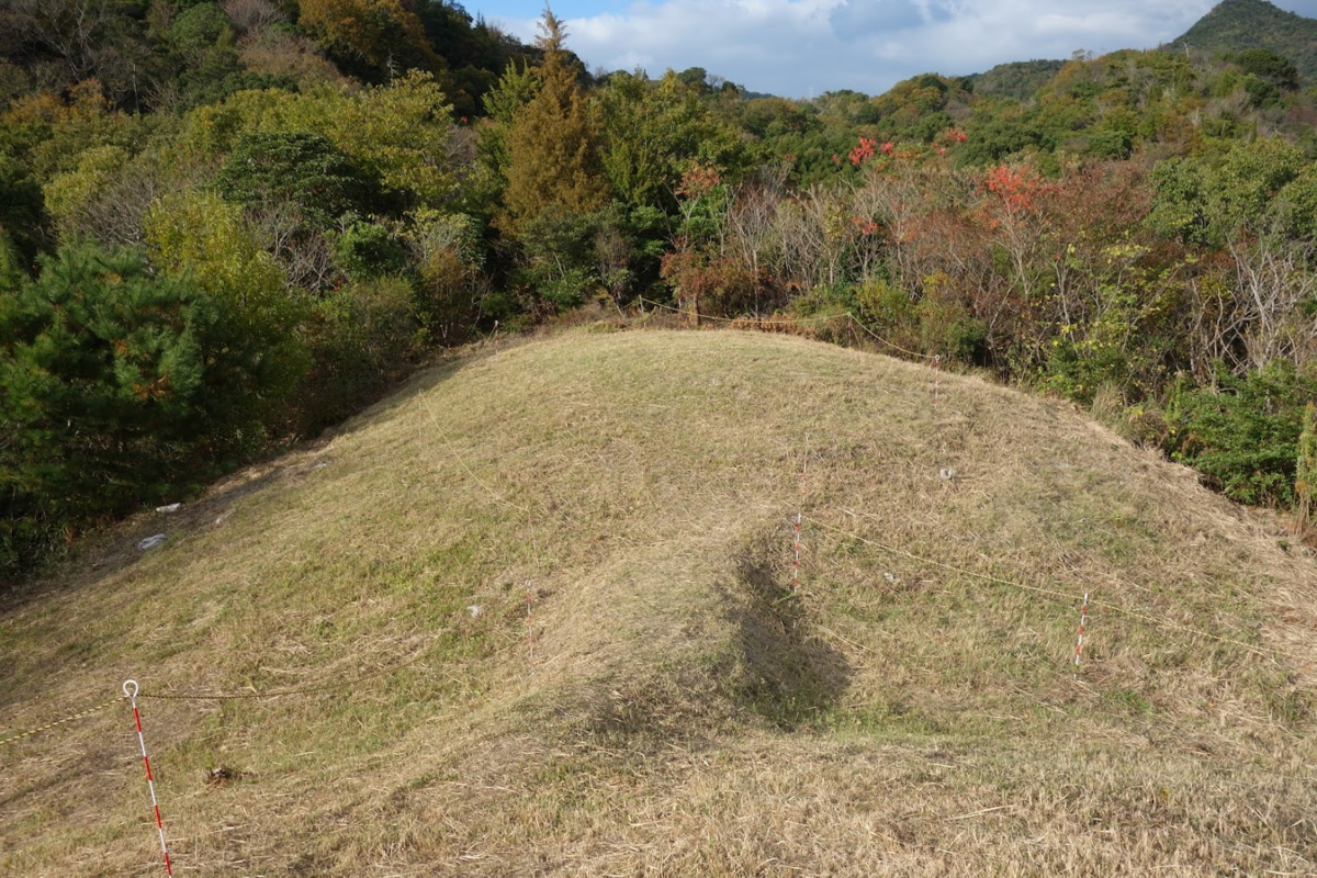 f:id:massneko:20201214171858p:plain