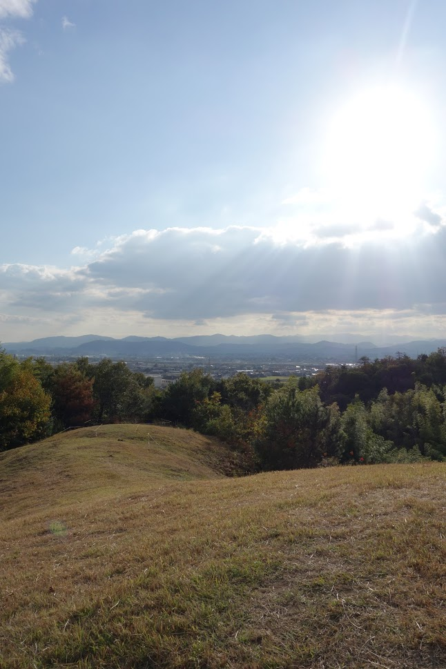 f:id:massneko:20201214172012p:plain