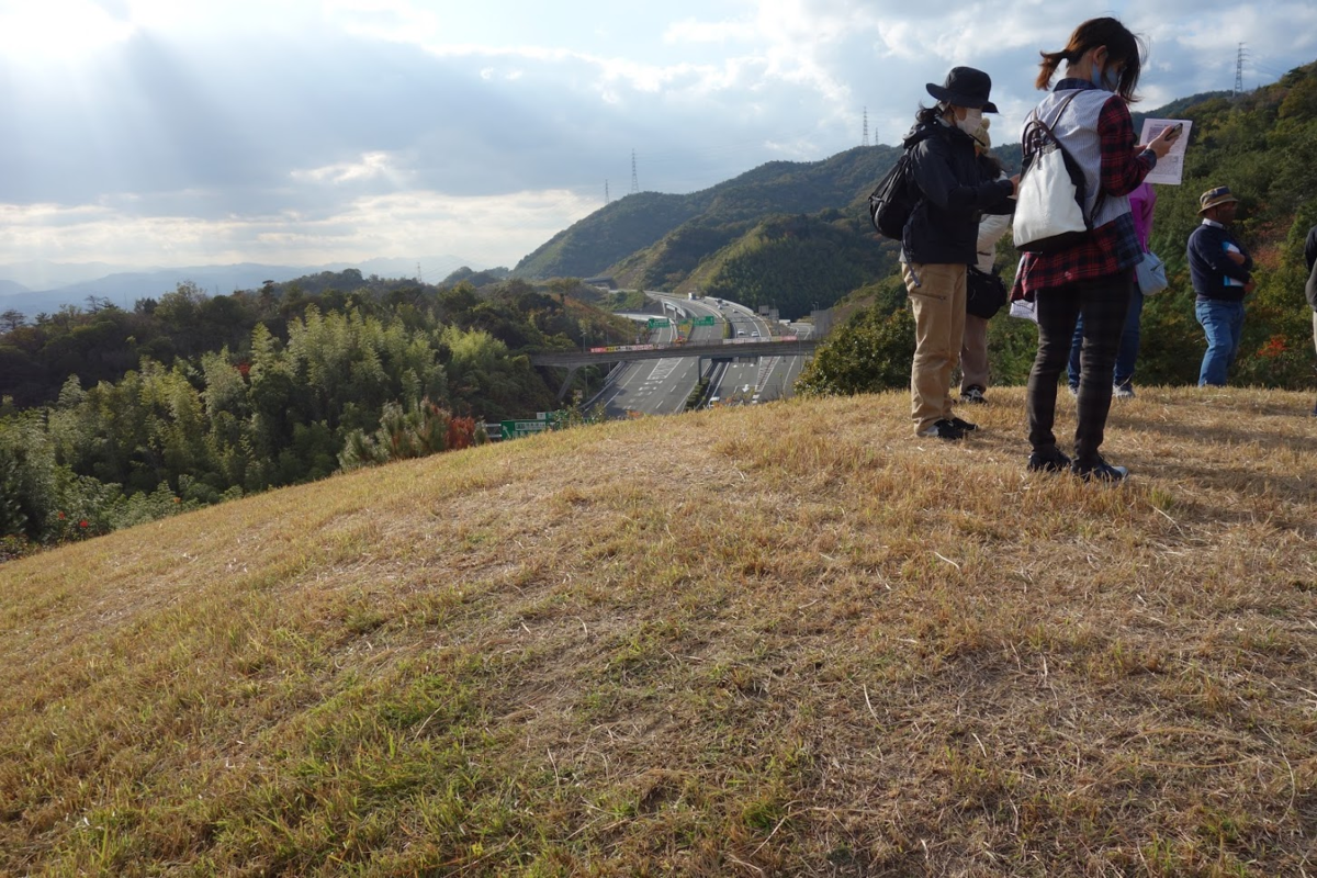 f:id:massneko:20201214172032p:plain