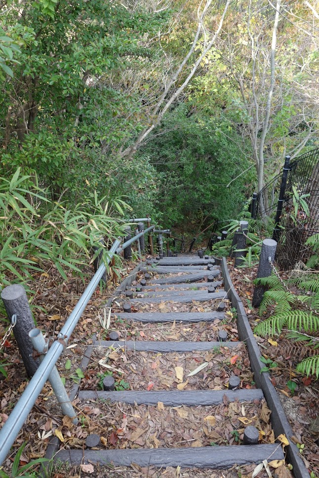 f:id:massneko:20201214172056p:plain