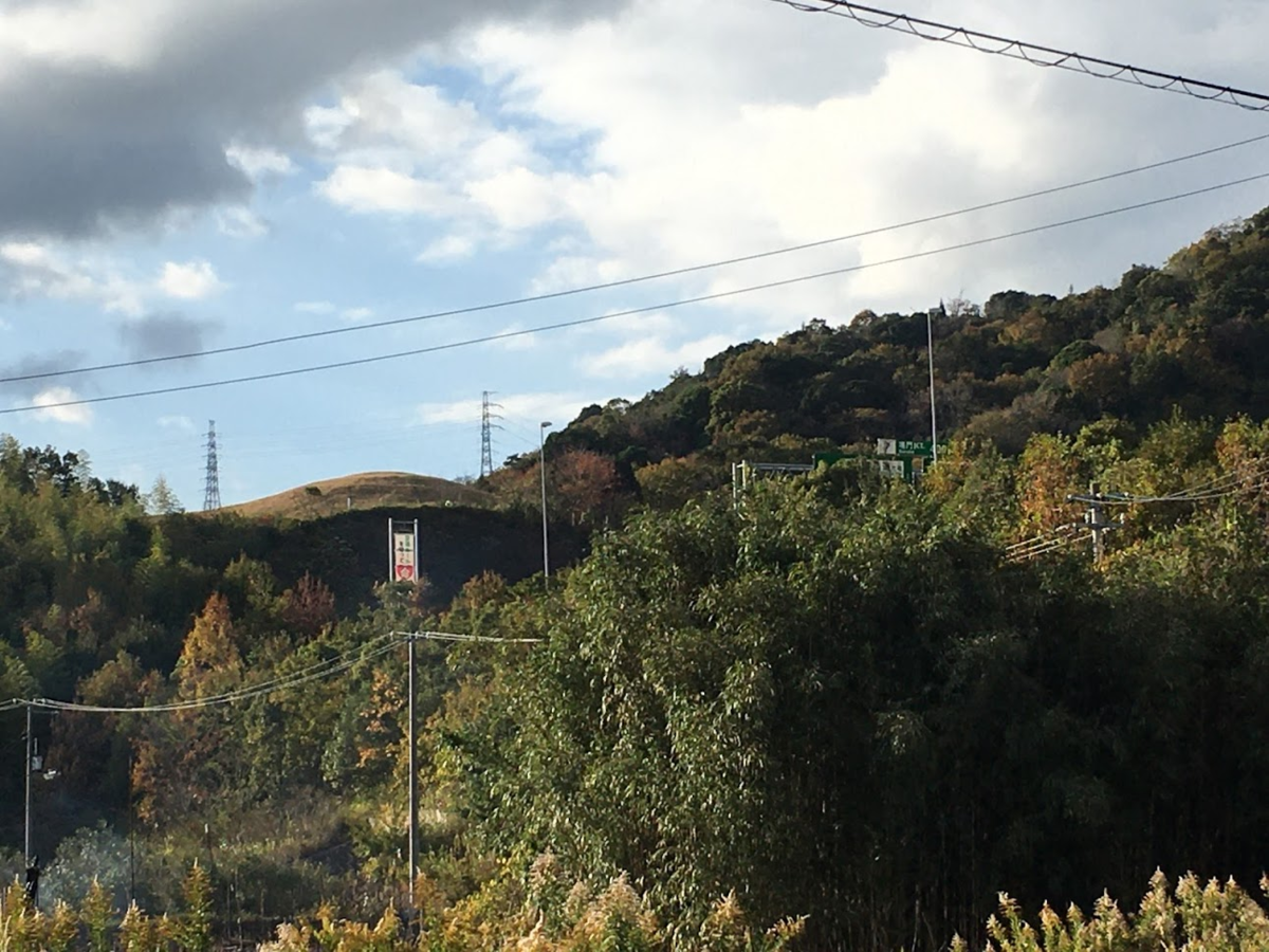 f:id:massneko:20201215144055p:plain