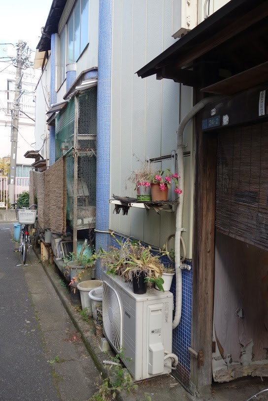 f:id:massneko:20201218123556p:plain