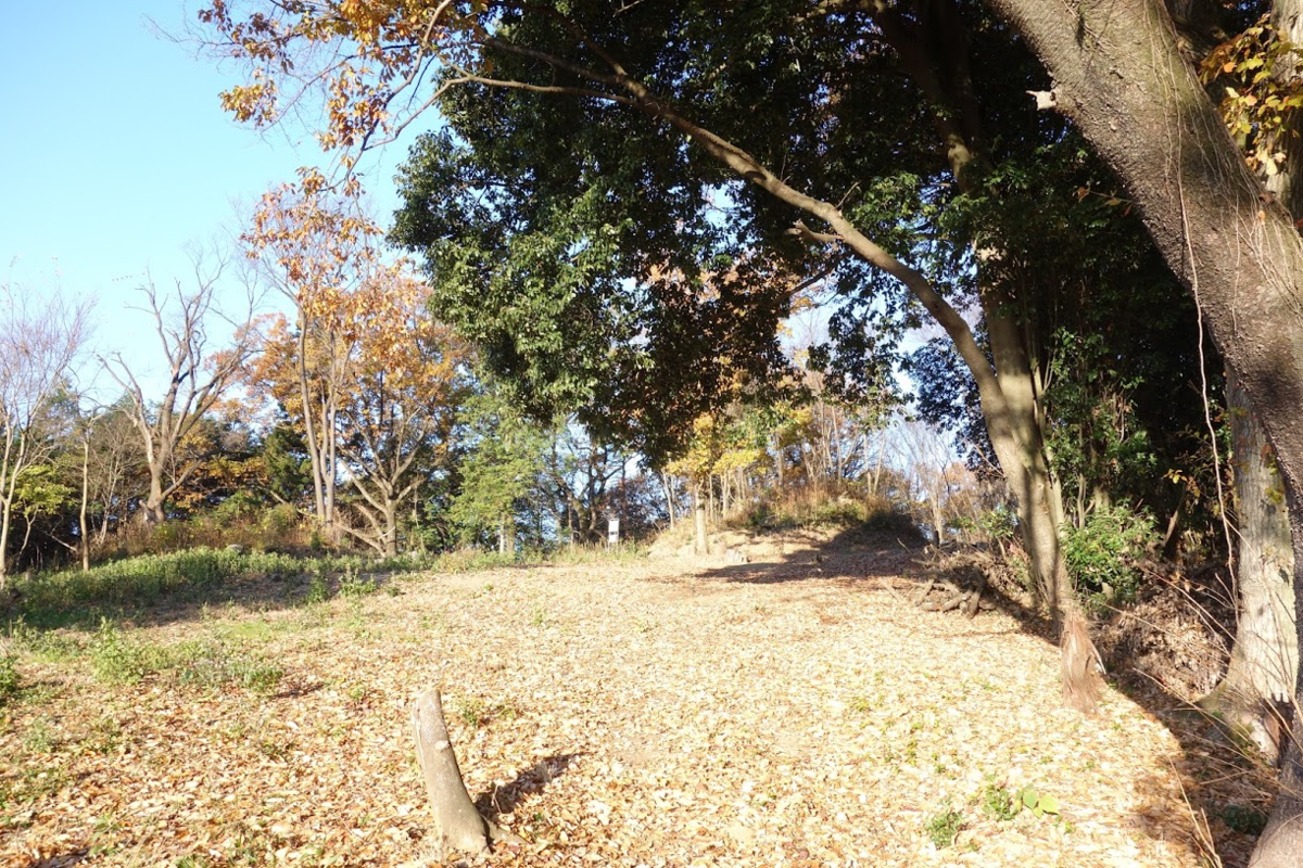 f:id:massneko:20201218161342p:plain