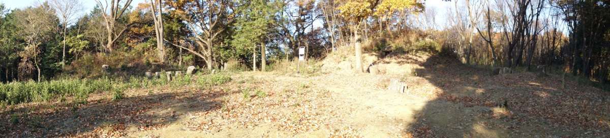f:id:massneko:20201218161411p:plain