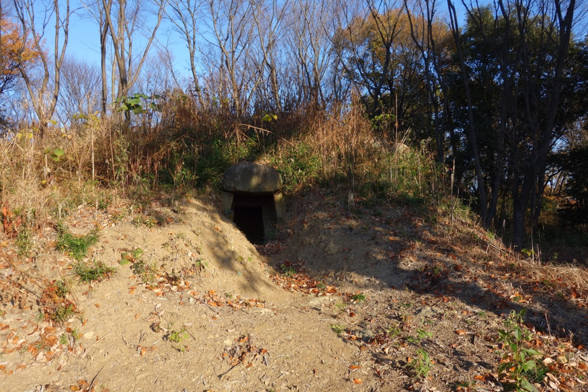 f:id:massneko:20201218161450p:plain