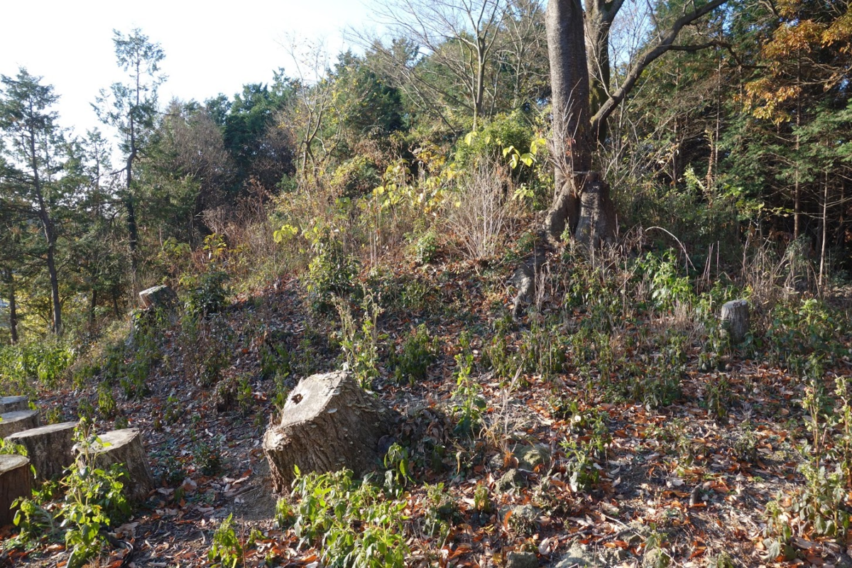 f:id:massneko:20201218162014p:plain