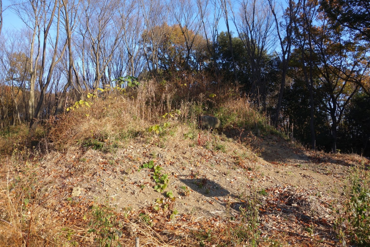 f:id:massneko:20201218162030p:plain