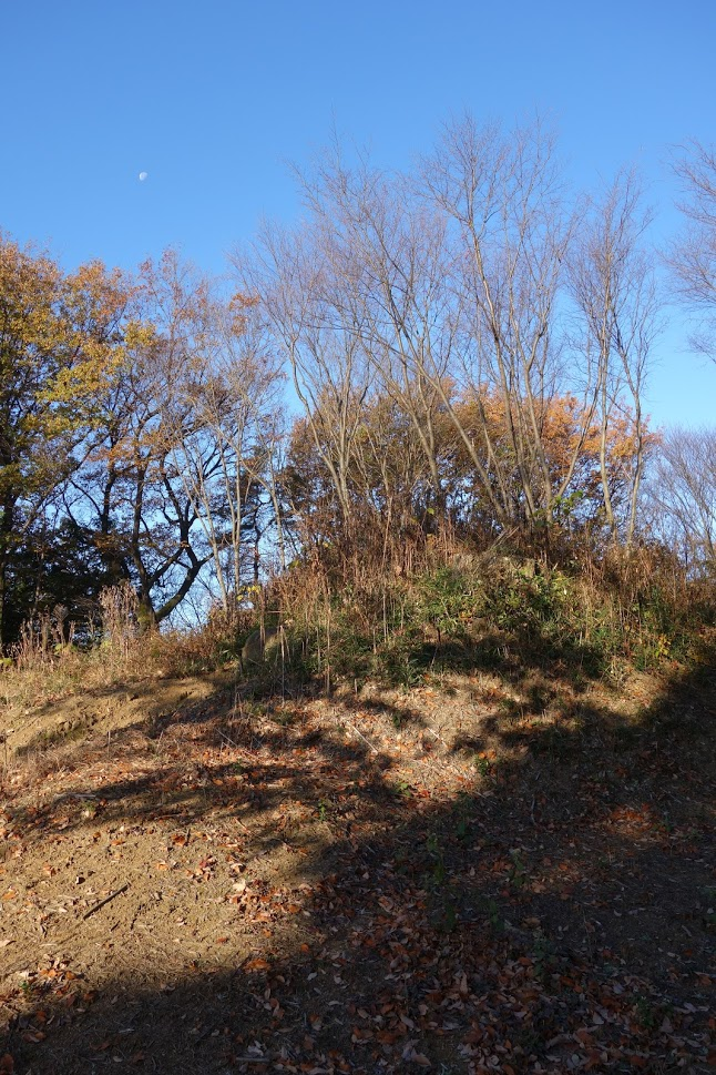 f:id:massneko:20201218162230p:plain