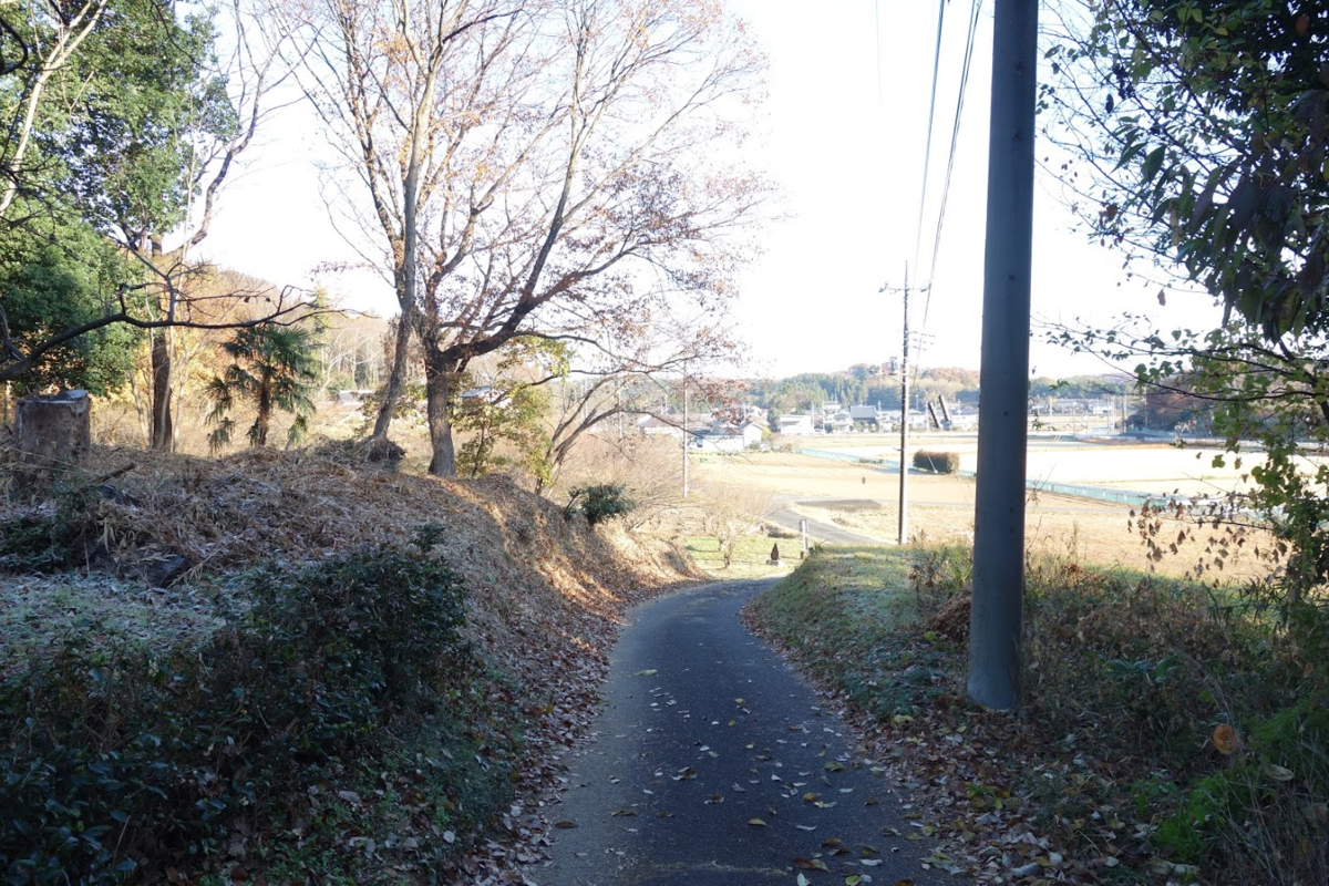 f:id:massneko:20201218162307p:plain