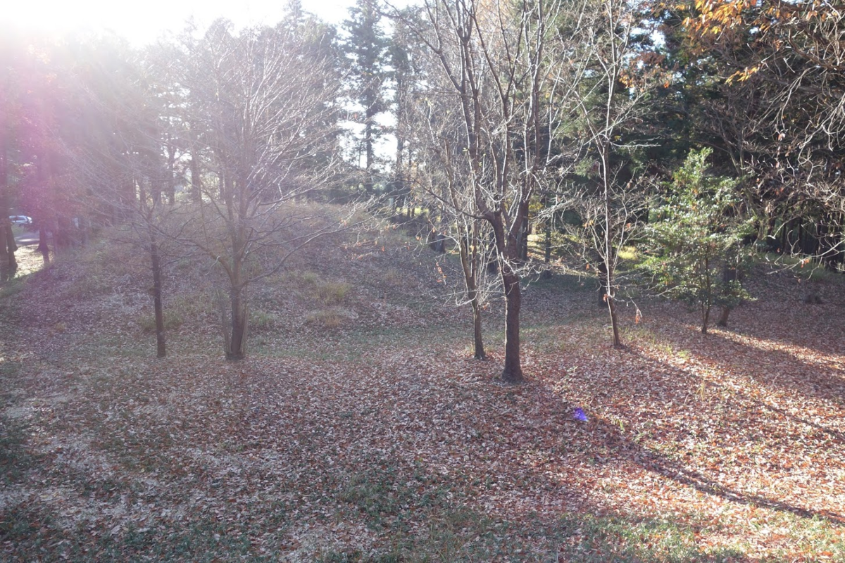 f:id:massneko:20201218162638p:plain