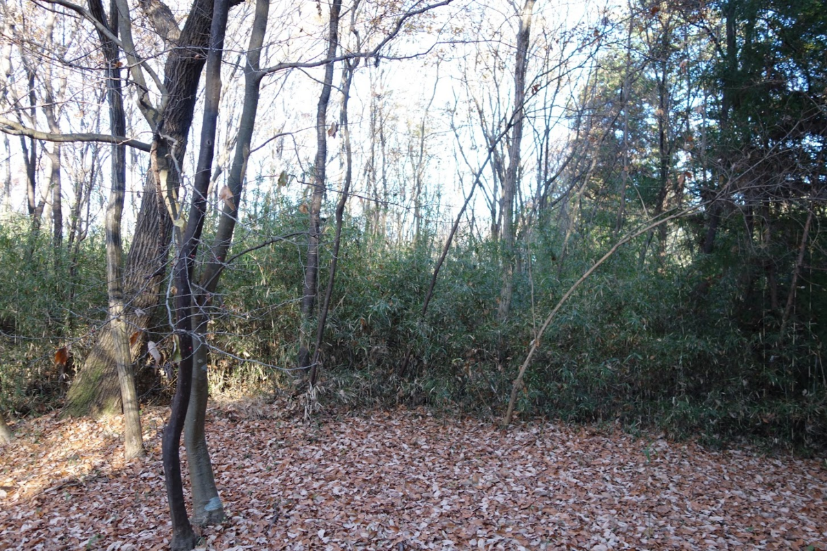 f:id:massneko:20201218162711p:plain