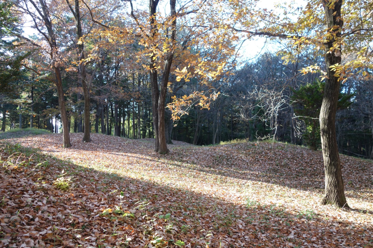f:id:massneko:20201218162841p:plain