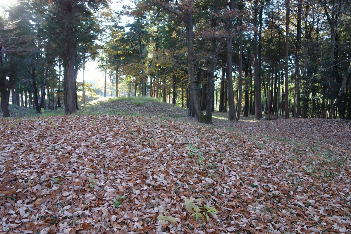 f:id:massneko:20201218162932p:plain