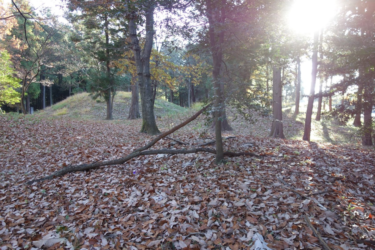 f:id:massneko:20201218162945p:plain