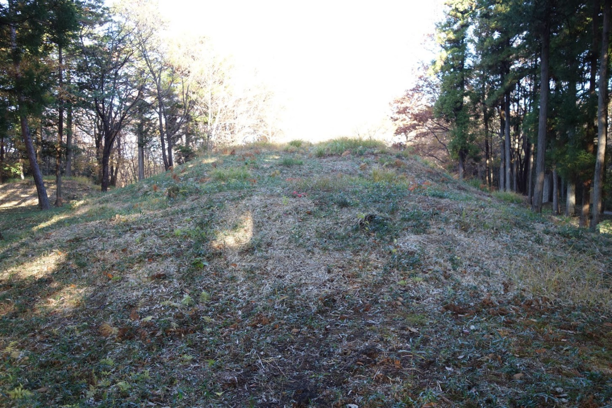 f:id:massneko:20201218163351p:plain