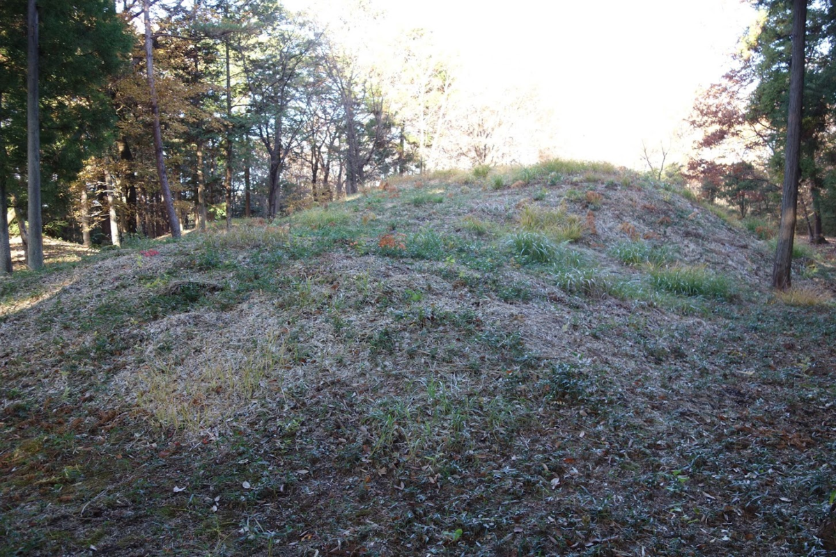 f:id:massneko:20201218163403p:plain