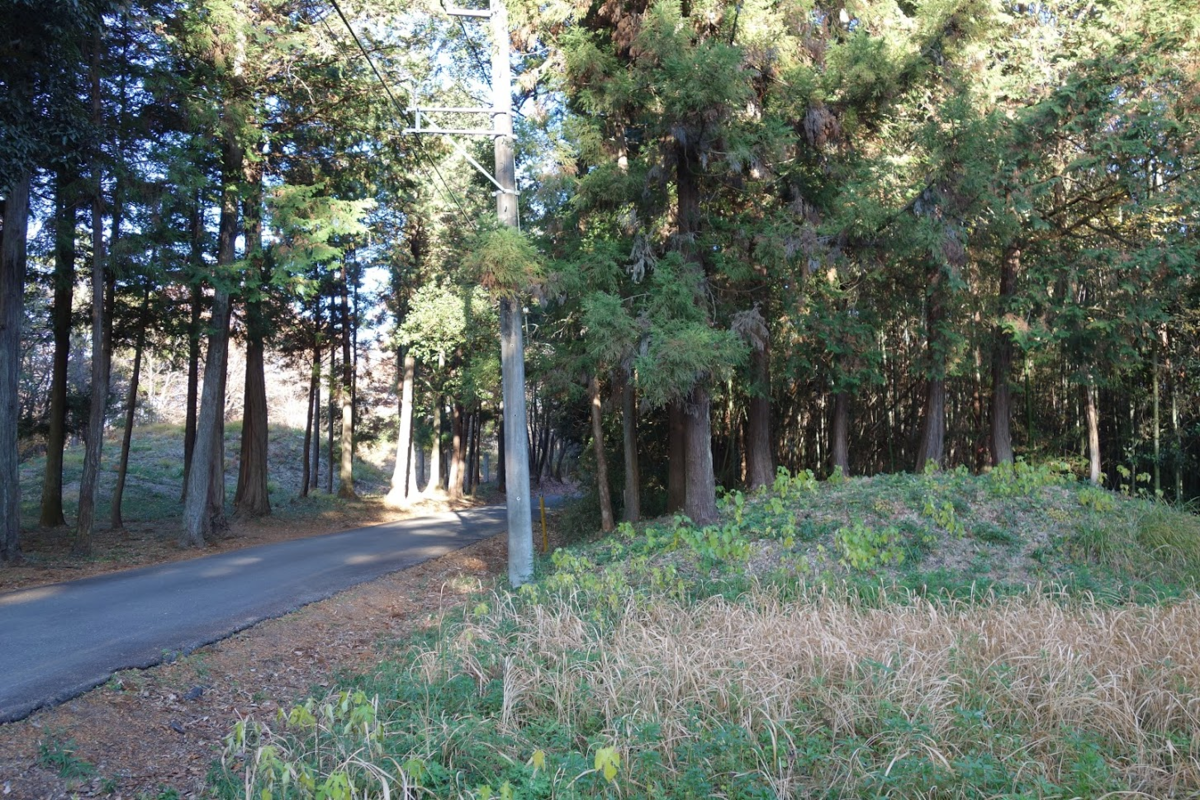 f:id:massneko:20201218163650p:plain