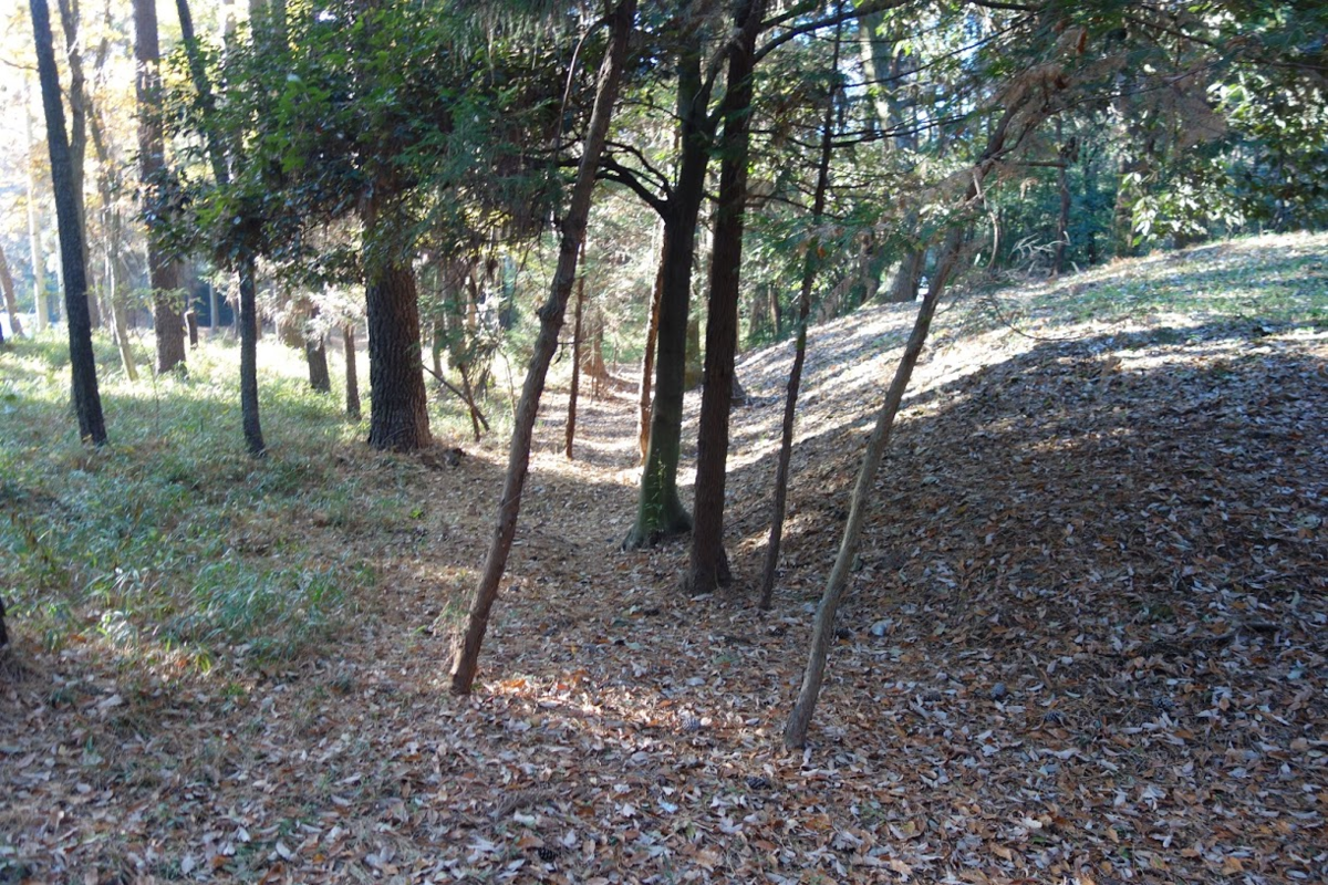 f:id:massneko:20201224113651p:plain