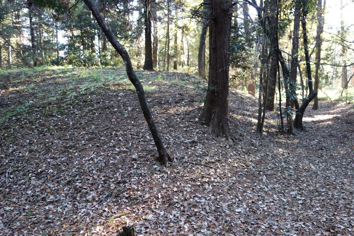 f:id:massneko:20201224113726p:plain