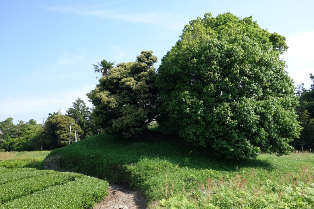 f:id:massneko:20201224152102p:plain