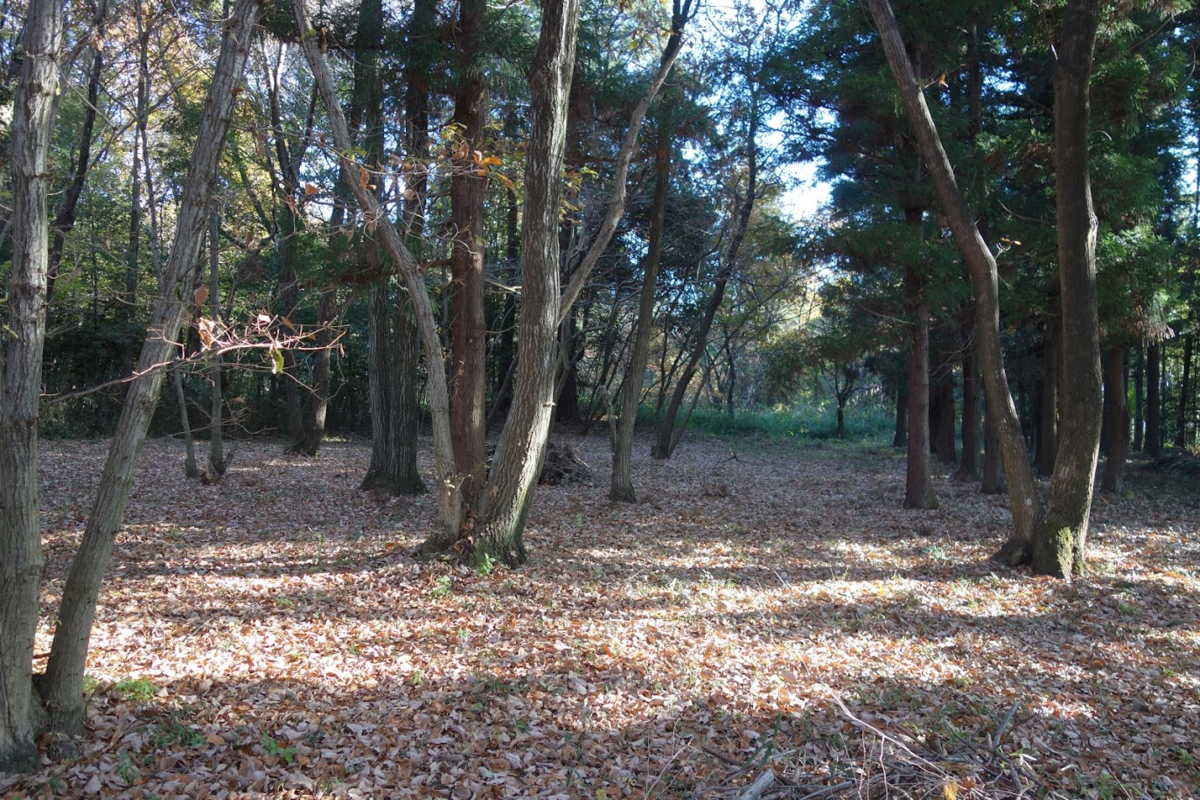 f:id:massneko:20201226160154p:plain
