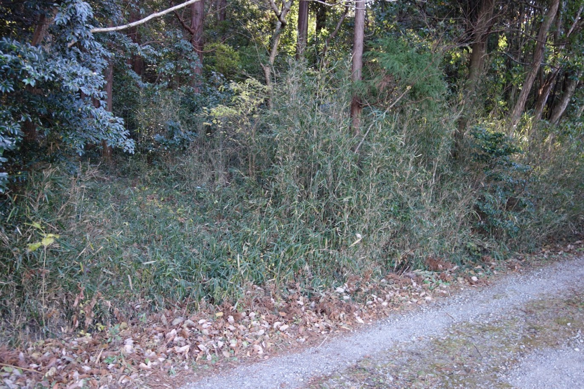 f:id:massneko:20201226161022p:plain