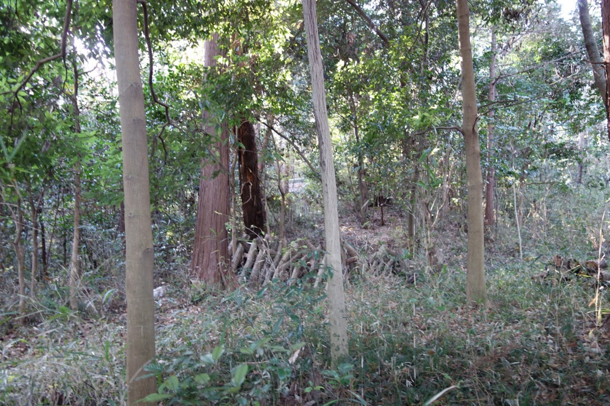 f:id:massneko:20201226161140p:plain