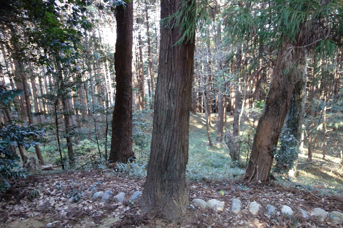 f:id:massneko:20201228092213p:plain