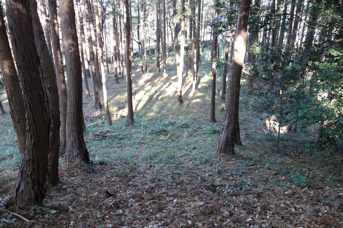 f:id:massneko:20201228092235p:plain