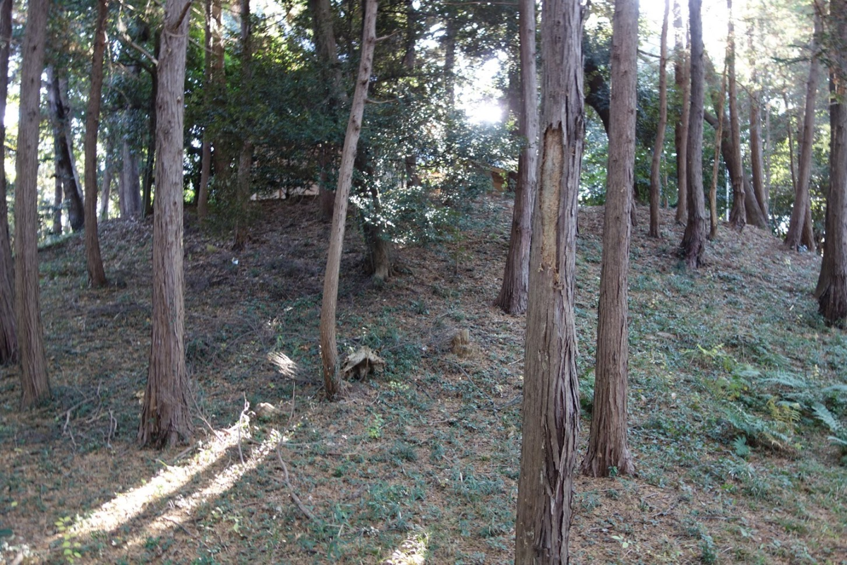 f:id:massneko:20201228092302p:plain