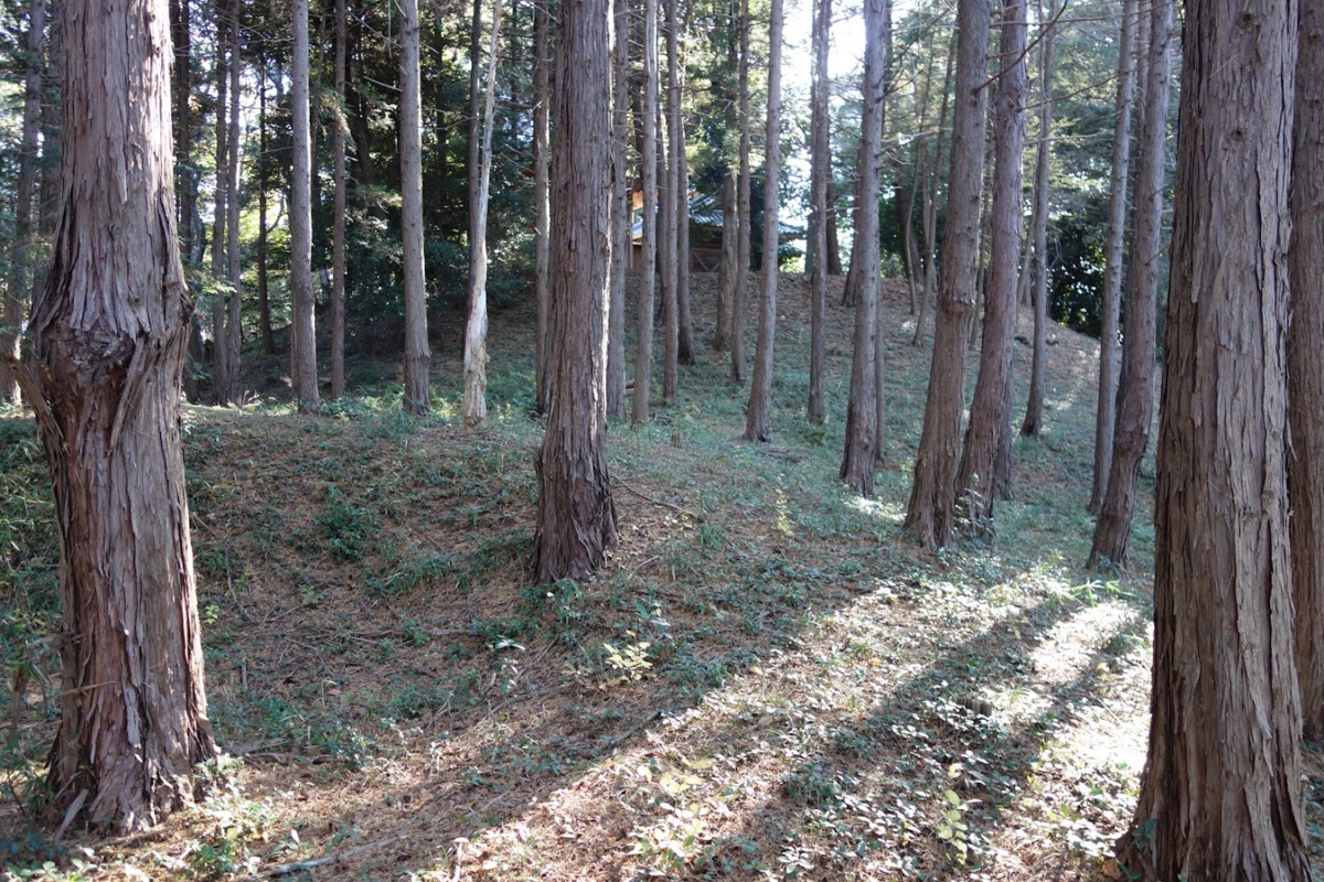 f:id:massneko:20201228092323p:plain