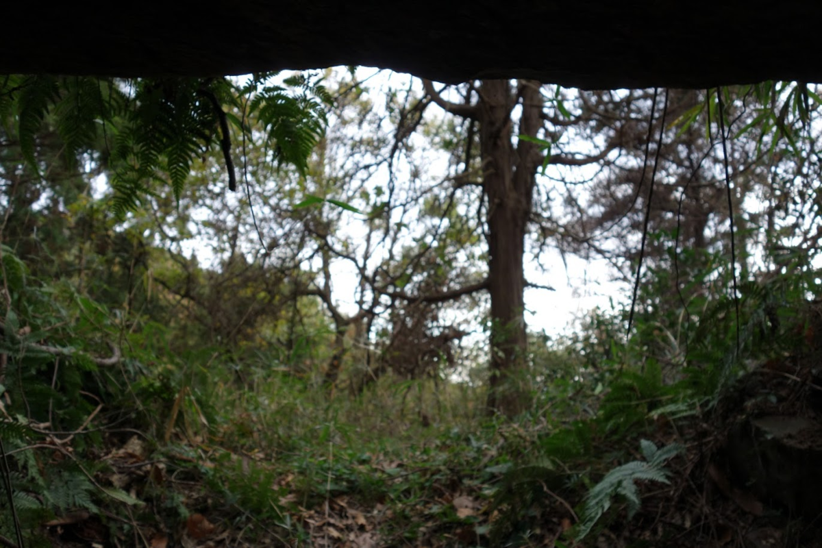 f:id:massneko:20201228224805p:plain