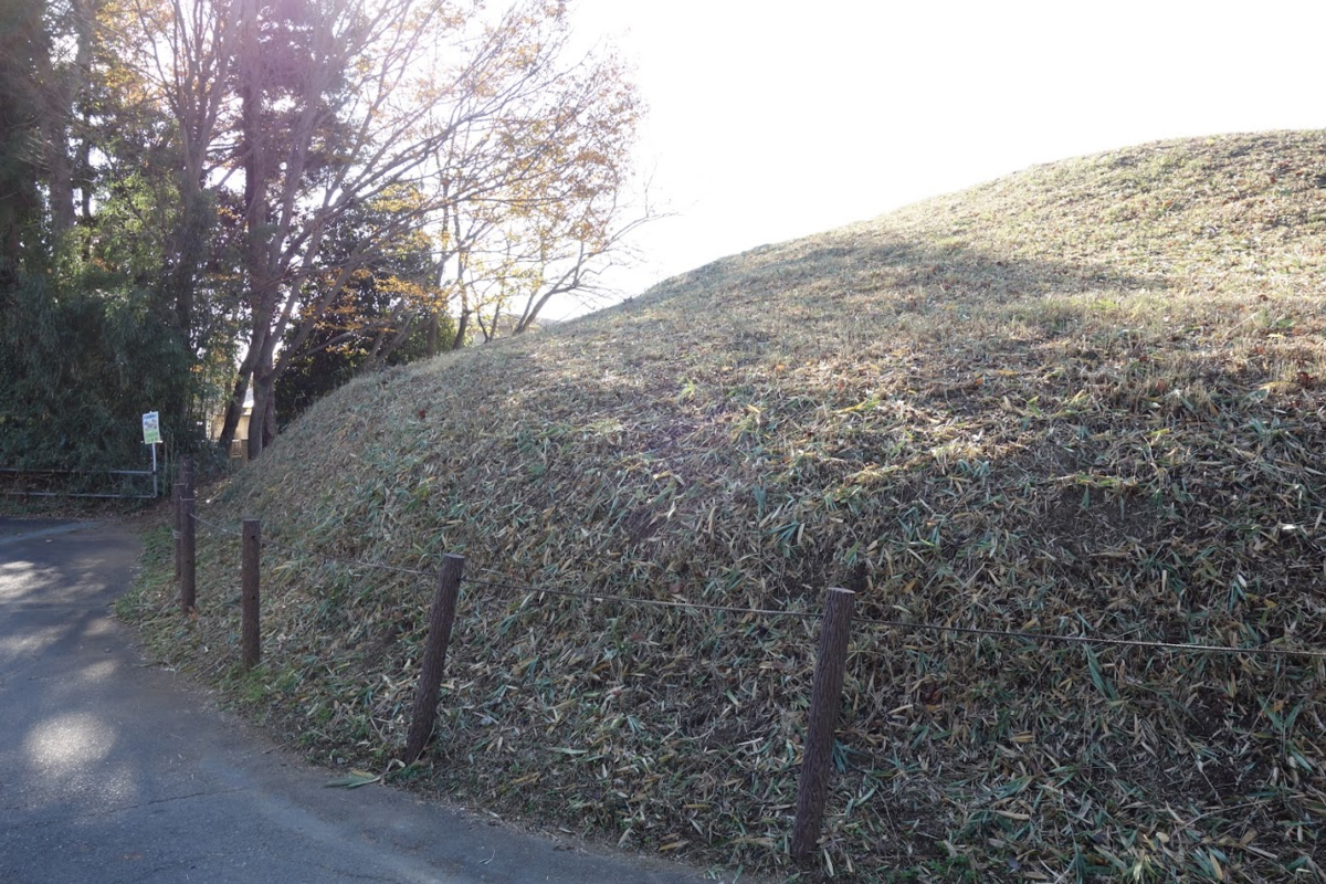 f:id:massneko:20201228225921p:plain