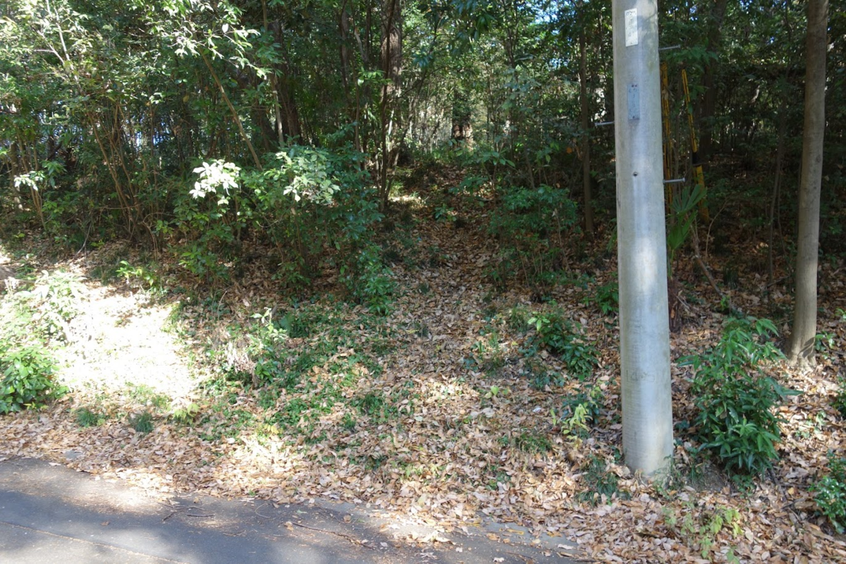 f:id:massneko:20201229224656p:plain