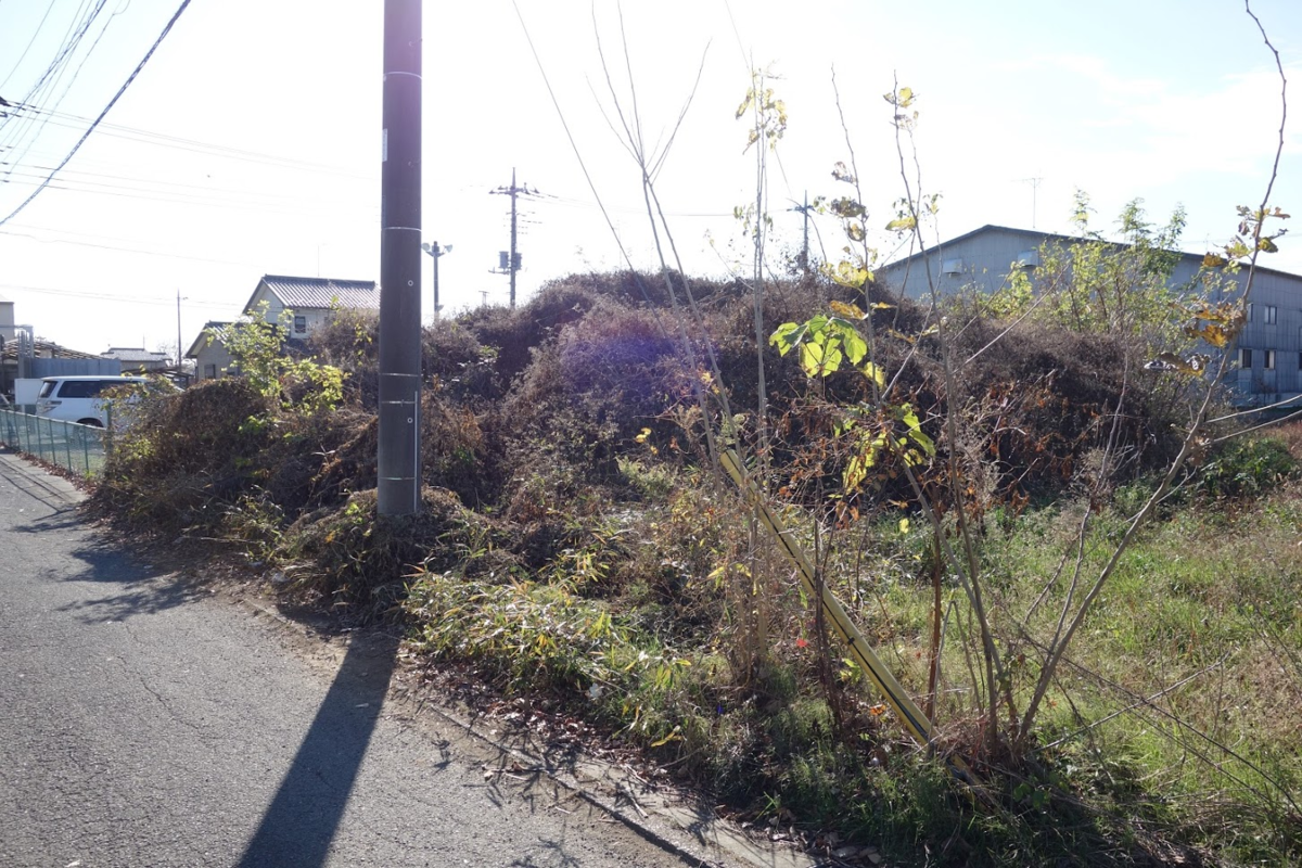 f:id:massneko:20210104114046p:plain