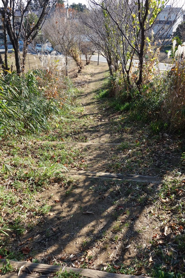 f:id:massneko:20210104114625p:plain