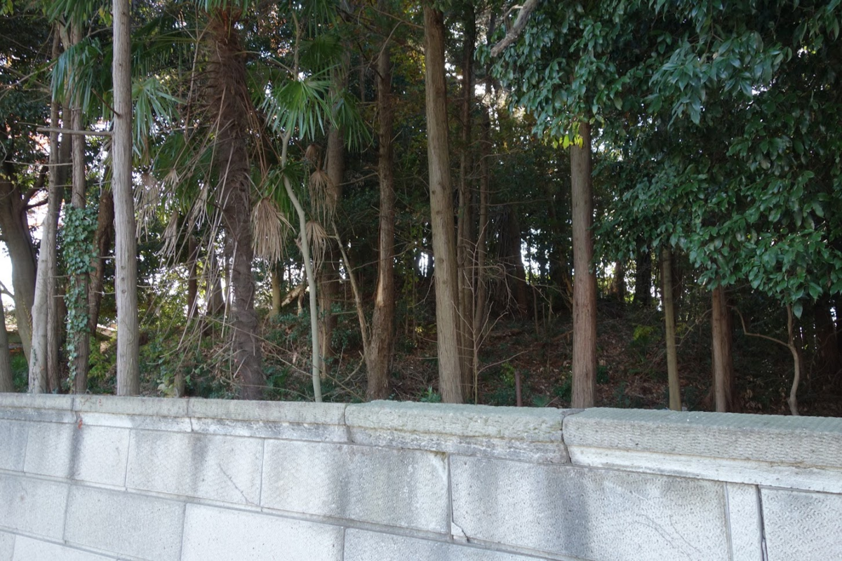f:id:massneko:20210104120004p:plain