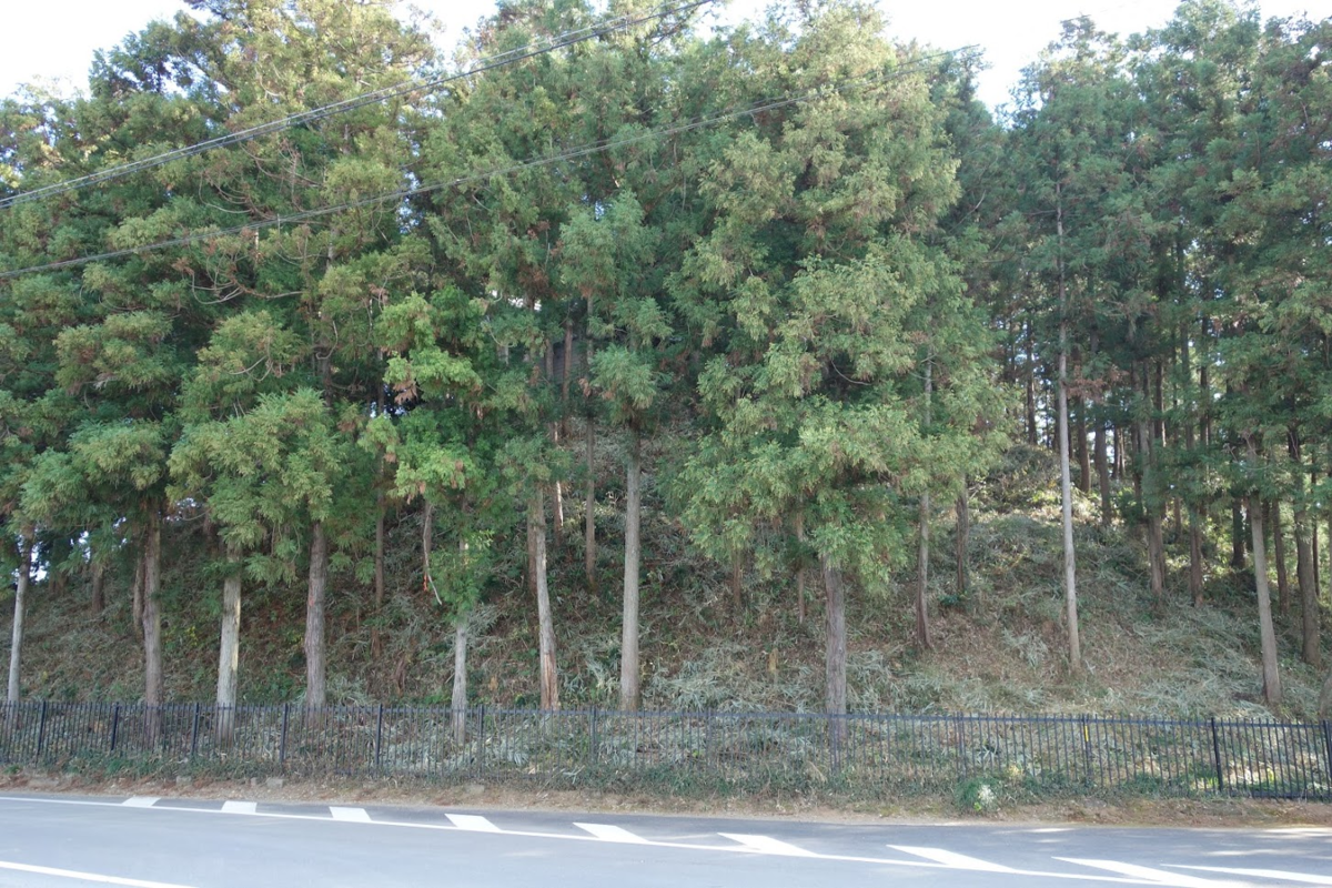 f:id:massneko:20210104120711p:plain