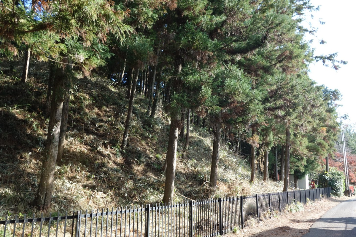 f:id:massneko:20210104120914p:plain