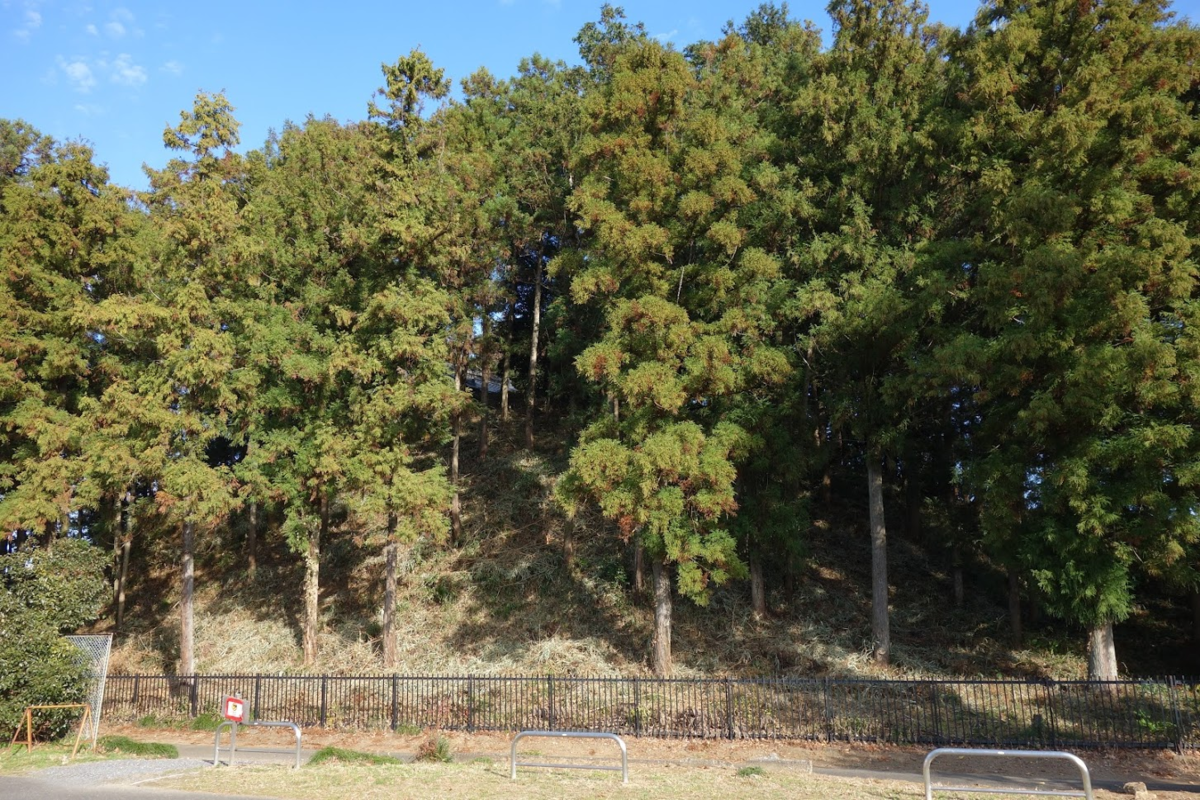 f:id:massneko:20210104120959p:plain